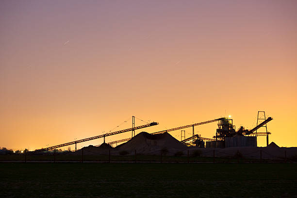istock Pebble Plant Silhouette At Dusk 157693944
