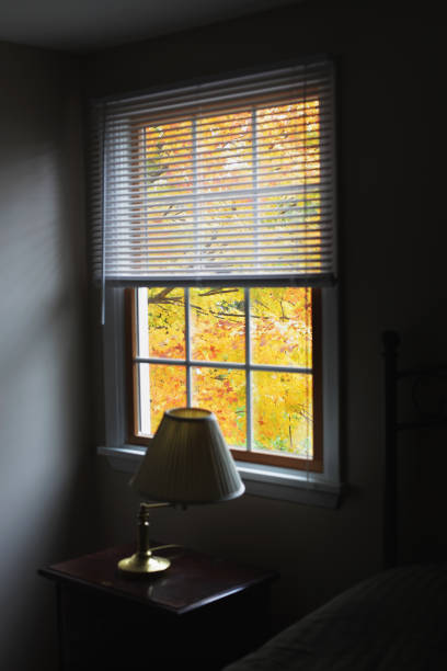 Large window in the house overlooking the courtyard in autumn, golden autumn and falling leaves