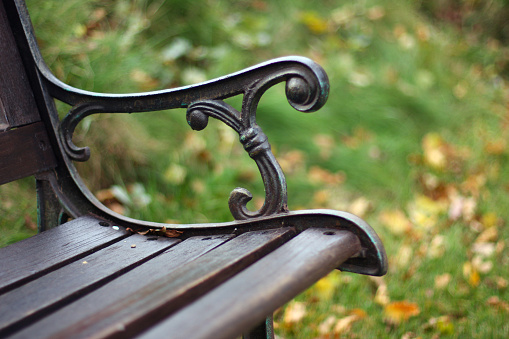 Bench covered with moss. Abandoned bench surrounded by grass. Abandoned park.