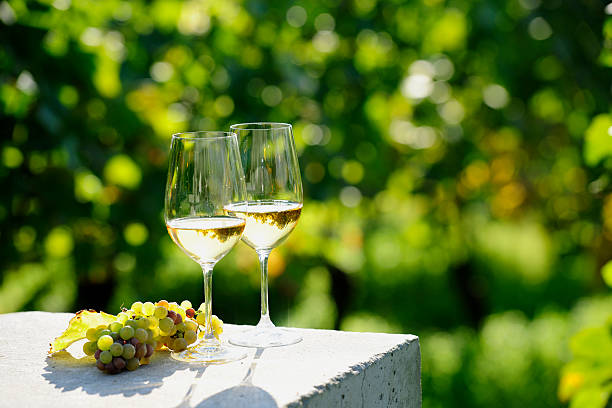 dos vasos de vino blanco (risling) en vineyard - wine glass white wine wineglass fotografías e imágenes de stock