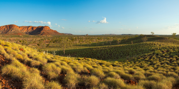 Beautiful Australian landscape in the light of a setting sun. Photographed from the Kungkalahayi lookout in Purnululu National Park. A seamlessly stitched panoramic image with a total size of 53 megapixels.