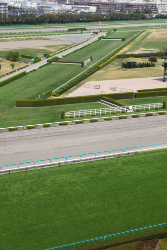 Horse racing track with steeplechase course.