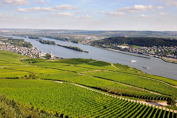 istock Rheingau Riesling Vineyards 157694382