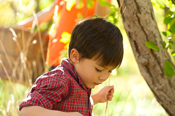 istock Young boy looking at ground for apples in orchard 157694635