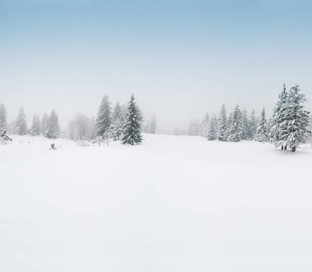 istock Winter Landscape with Snow and Trees 157694791