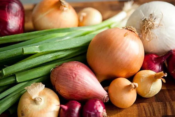 Different types of onions including: green, yellow, sweet, red, white, shallot, boiling onions, and cipollini