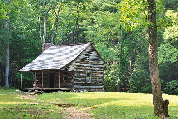 istock Smoky Mountain Settlers Cabin 157694998