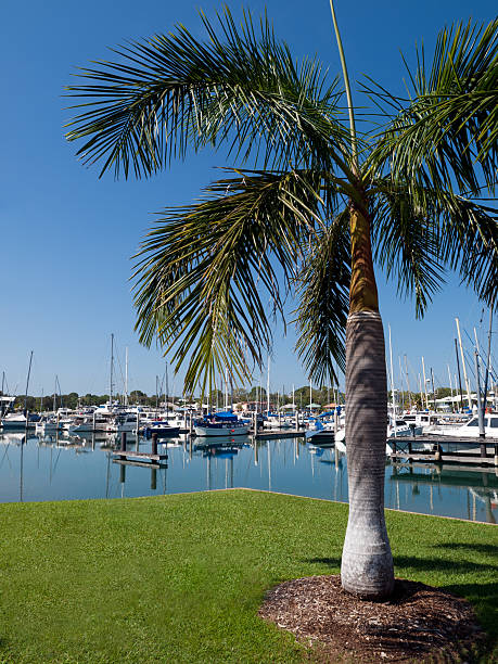 컬렌 베이, 호주 다윈 - darwin australia northern territory harbor 뉴스 사진 이미지