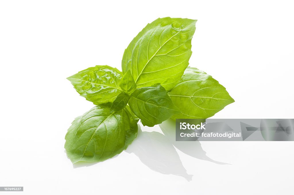 Basil's - Foto de stock de Albahaca libre de derechos