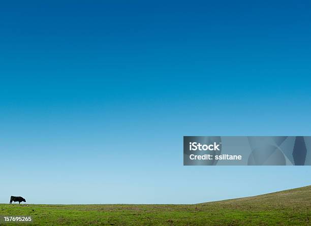 Toro - Fotografie stock e altre immagini di Ambientazione esterna - Ambientazione esterna, Collina, Composizione orizzontale