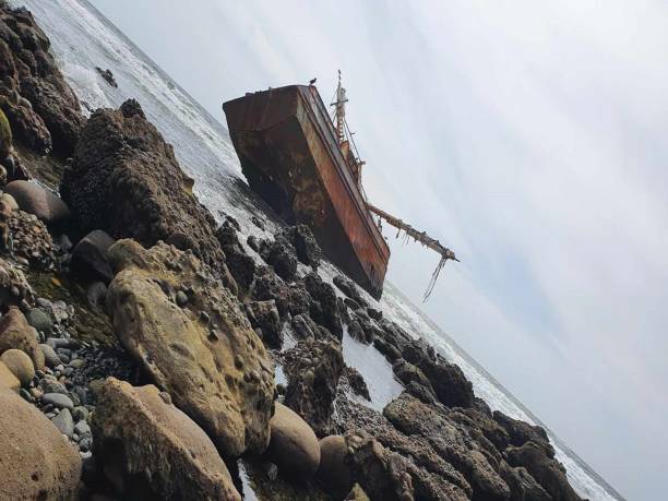istock Curiosities of the low sea 1576953062