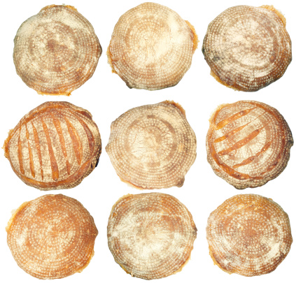 Nine pieces fof round shaped italian bread isolated on white.