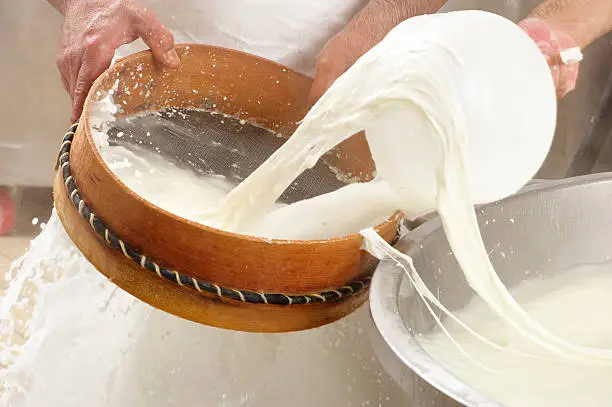 Photo of making mozzarella cheese