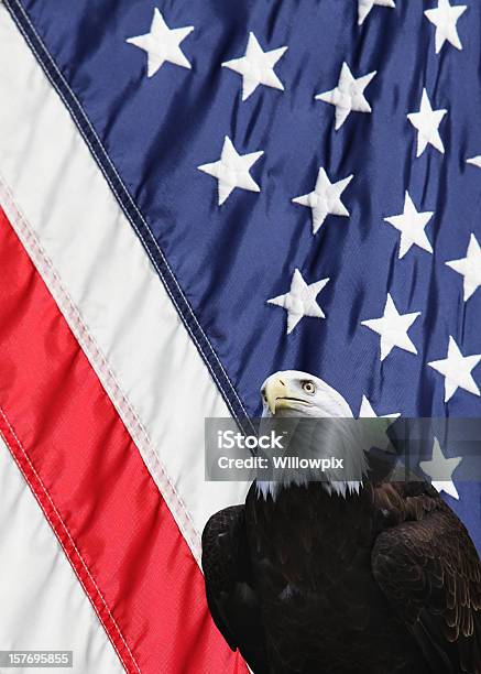 イーグルアメリカのアメリカ国旗垂直 - アメリカ国旗のストックフォトや画像を多数ご用意 - アメリカ国旗, ハクトウワシ, ワシ