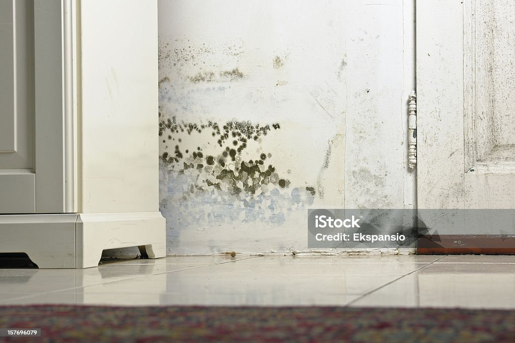 Mold Mould Stains on Damp Wall and Door behind Cabinet Mold or Mould Stains on Damp Wall and Door behind Cabinet due to condensation caused by lack of ventilation. Wall - Building Feature Stock Photo