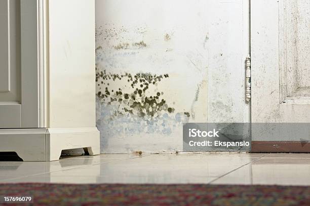 Mold Mould Stains On Damp Wall And Door Behind Cabinet Stock Photo - Download Image Now