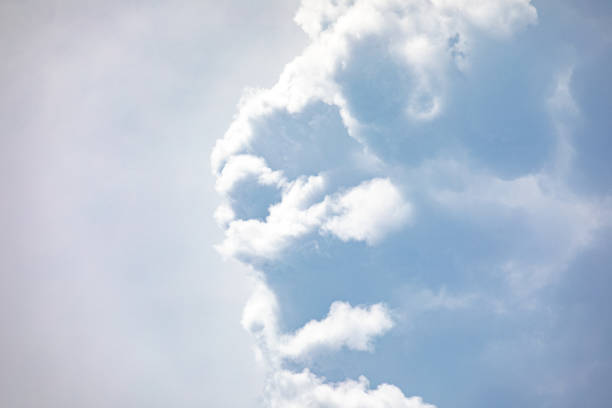 During the development of the cloud we could observe its most sinister face before the violent discharge of the storm.