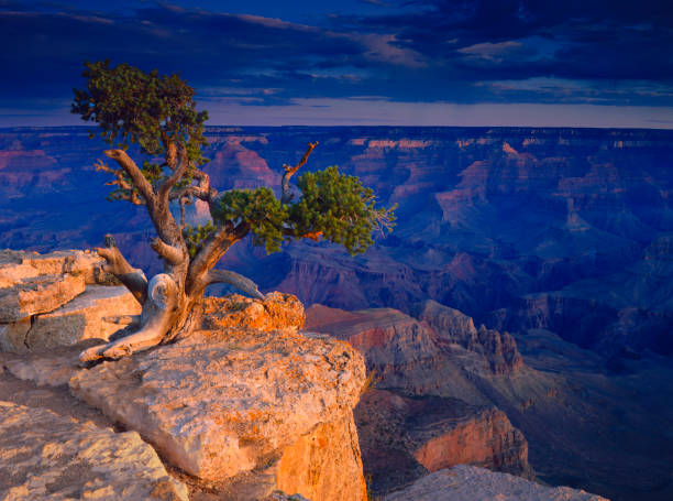 Sunrise Light Warms The Cliff Walls Of The Grand Canyon, Arizona