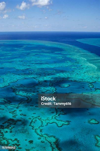 Большой Барьерный Риф — стоковые фотографии и другие картинки Большой Барьерный риф - Большой Барьерный риф, Австралия - Австралазия, Море