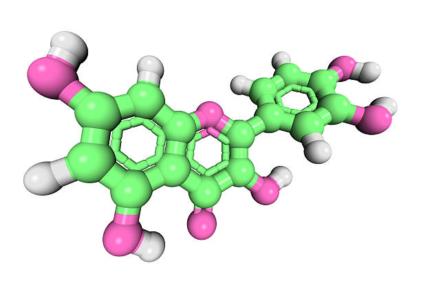 drugmodel: quercetina - antioxidant quercetin molecule flavonoid fotografías e imágenes de stock