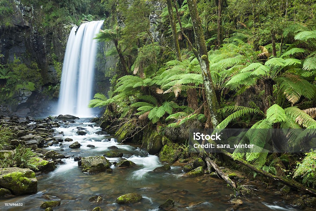 Cascate, foresta pluviale Cascata di Hopetoun, di Otway NP, Victoria, Australia - Foto stock royalty-free di Parco Nazionale di Otway