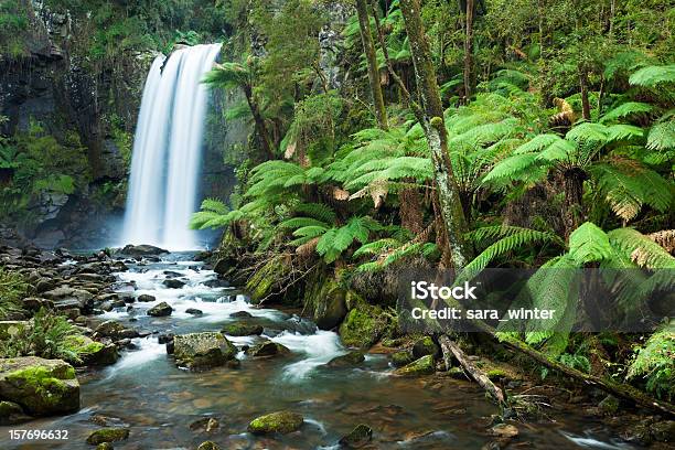 Cascate Foresta Pluviale Cascata Di Hopetoun Di Otway Np Victoria Australia - Fotografie stock e altre immagini di Parco Nazionale di Otway