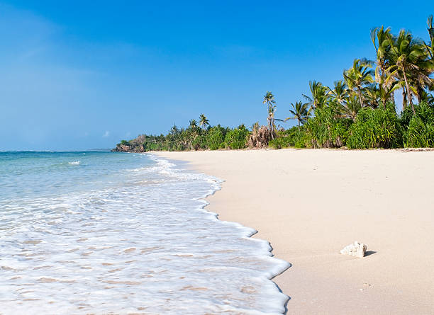 african spiaggia - nobody africa summer tourist resort foto e immagini stock