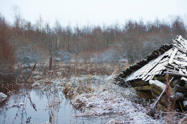 frozen wooden bridge in a lake. very slipery