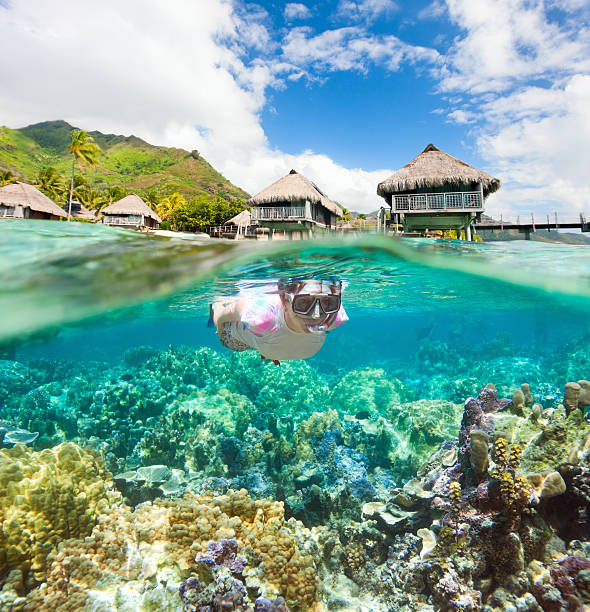 istock Woman snorkeling at coral reef 157696708