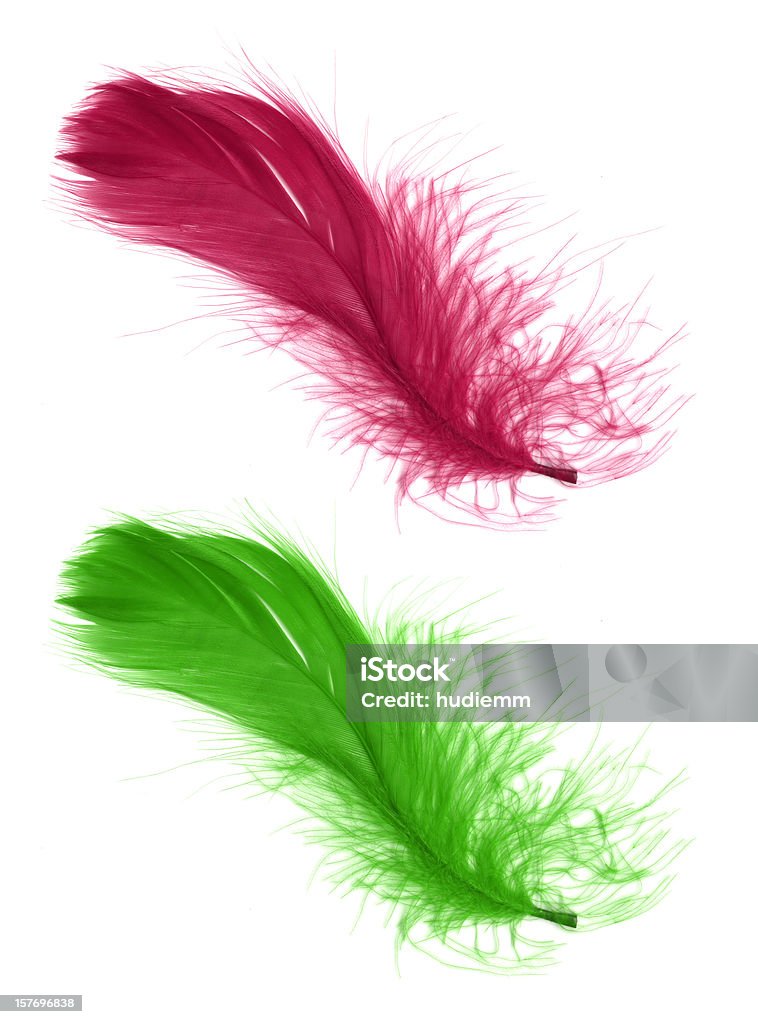 Feather isolated on white background Pink and green feathers isolated on white background. Feather Stock Photo