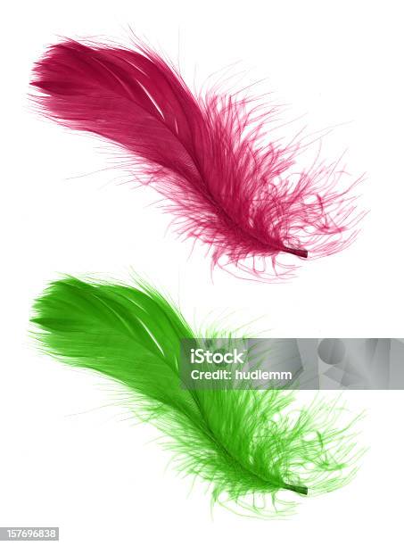 Feather Isolated On White Background Stock Photo - Download Image Now - Feather, Cut Out, Color Image