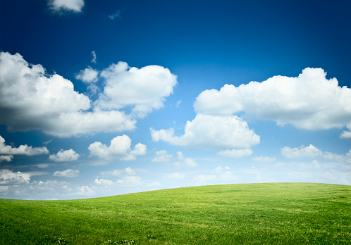 Empty green landscape and clear blue sky