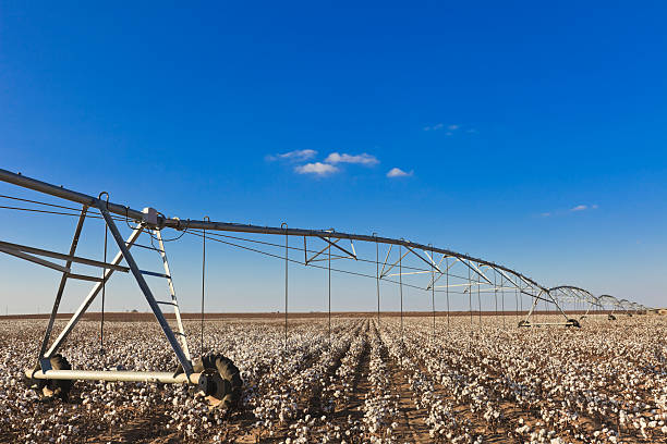 équipement d'irrigation à pivot circle de treillis en coton - lubbock photos et images de collection