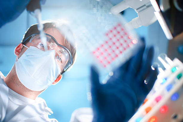 experimento de laboratorio - microplate fotografías e imágenes de stock