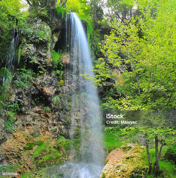 Cascata In Gostilje Vicino A Cajetina Serbia - Fotografie stock e altre immagini di Acqua - Acqua, Albero, Ambientazione esterna