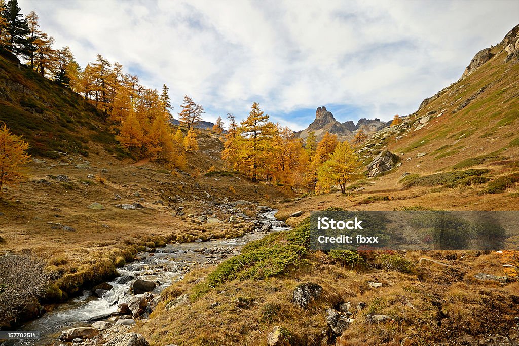 Colourful alpine valley Alpine valley view  in a autumnal scenery with yellow larches and grass, a little stream flowing across them and a mountain peak on the background. Autumn Stock Photo