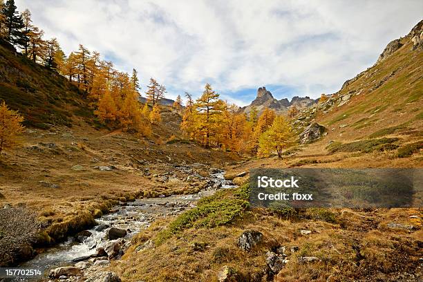 Colourful Alpine Valley Stock Photo - Download Image Now - Autumn, Backgrounds, Beauty