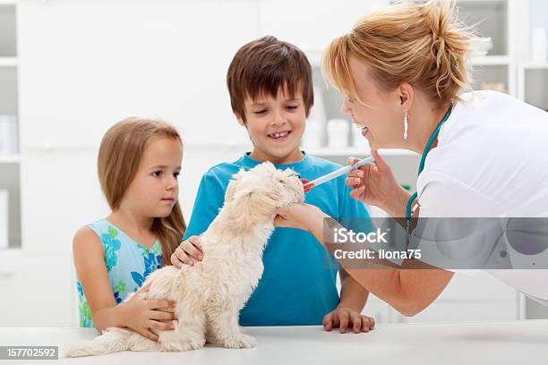 Crianças Com Seu Animal De Estimação Ao Veterinário Médico - Fotografias de stock e mais imagens de Cão