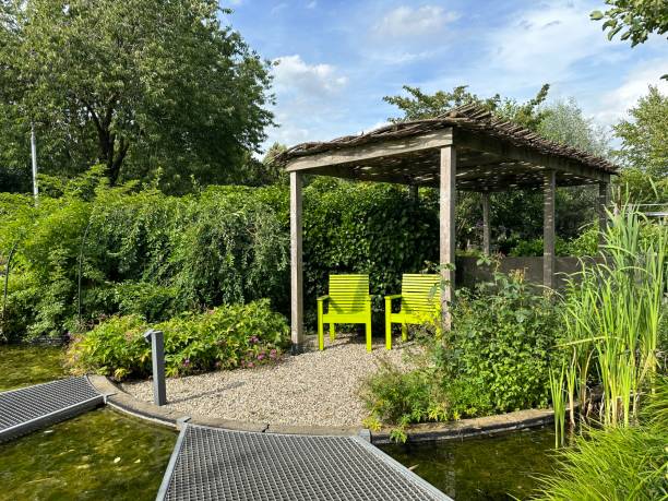 istock Living  garden with pergola and pond 1577039585