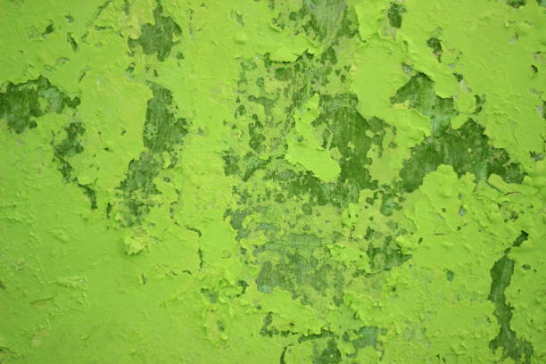 grüne abblätternde farbe an der wand. alte betonmauer mit rissiger abblätternder farbe. perfekter hintergrund mit raum. - peeling paint audio stock-fotos und bilder