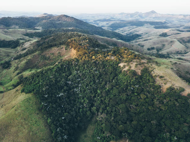 istock View of preserved forest area between pastures in the hills 1577057855