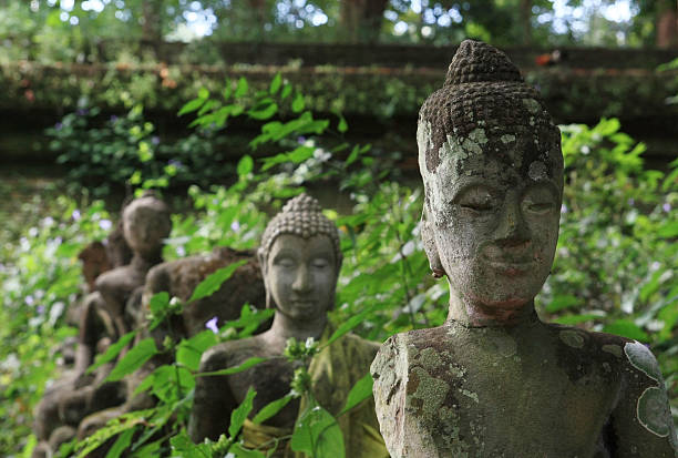 istock Statues of Buddha in a forest temple (Chiangmai, Thailand) 157708014