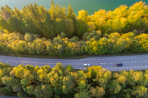 Aerial view of cars driving down a forest road.