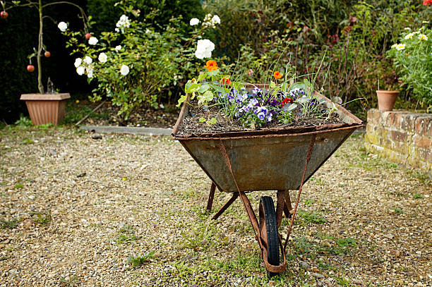 istock decorative garden wheelbarrow with flowers 157711493