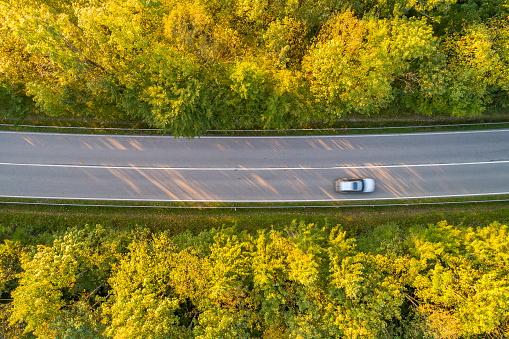 Cars driving down a road in a forest viewed from directly above.