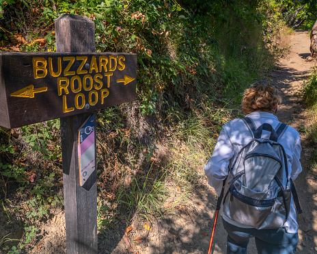 Big Sur, CA, USA  July 18, 2023: A woman hikes along the Buzzards Roost Loop trail in Pfeiffer Big Sur State Park, in Big Sur, CA.