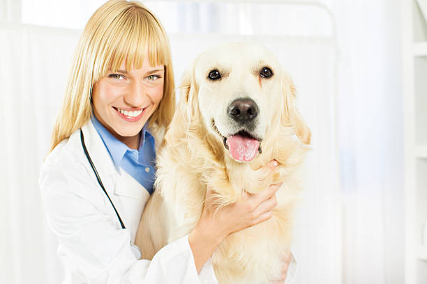 istock Young Female Veterinary Caring About Dog 157717948