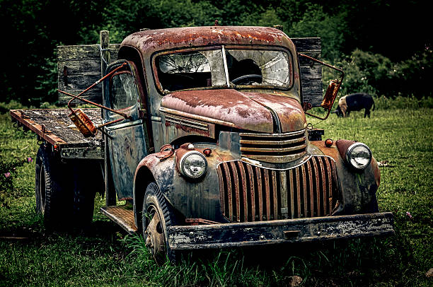 istock Abandonded Truck (with Pig) 157717953