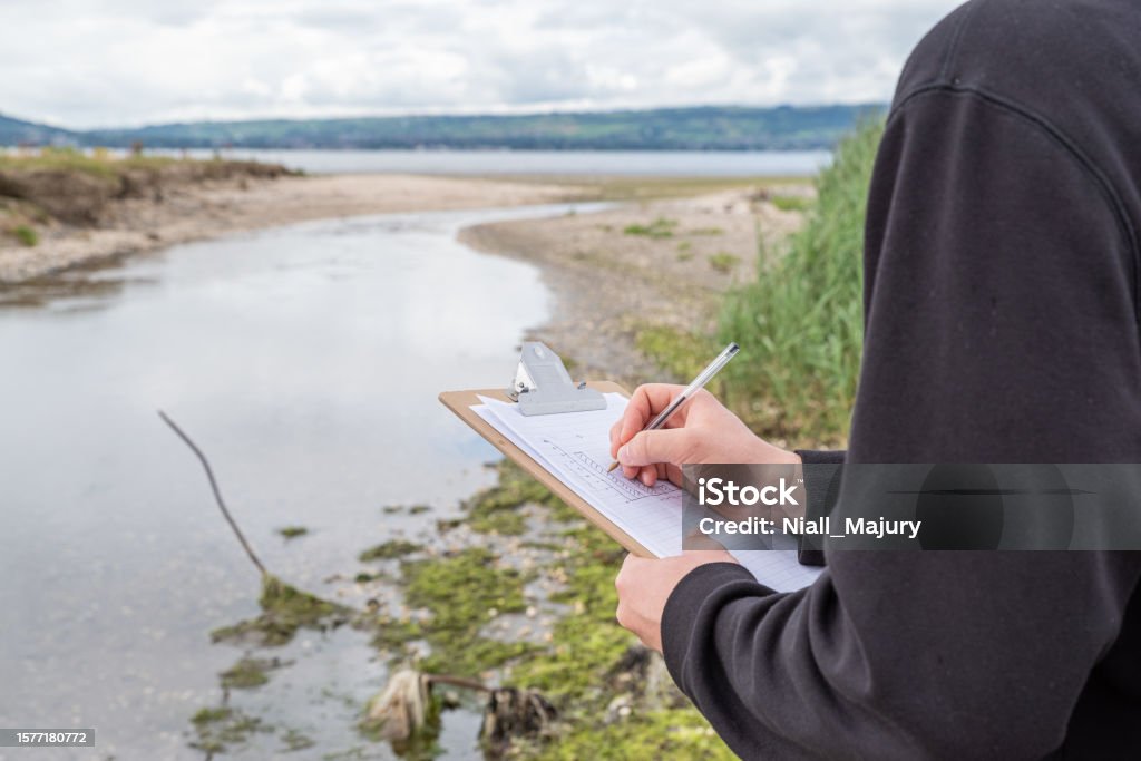 Making field observations of a river and coastline with a clipboard and pen Holywood, Northern Ireland, UK - July 15, 2023:  A student making observations and notes with a clipboard and pen of a river as it winds its way to the coast of Belfast Lough. Examining Stock Photo