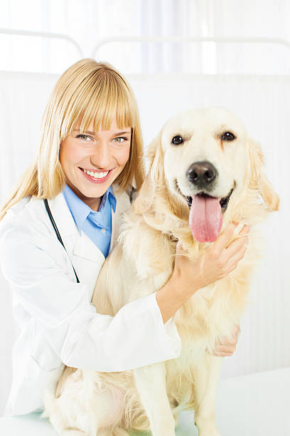 istock Young Female Veterinary Caring About Dog. 157718222